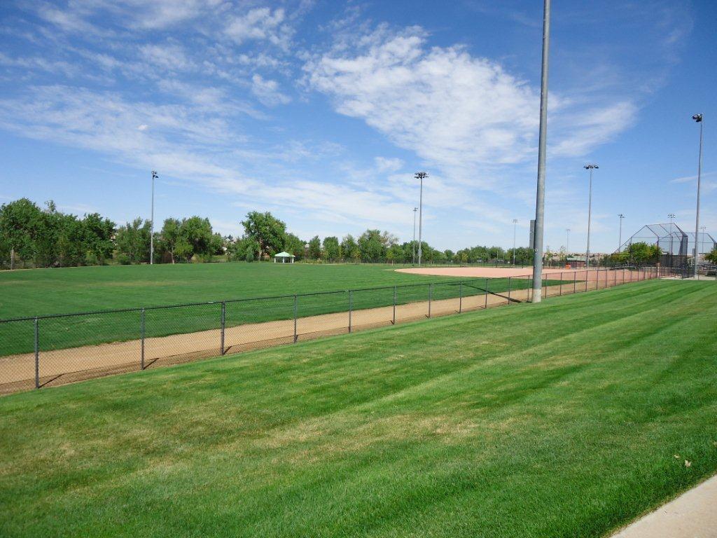 Softball Fields Outfield View