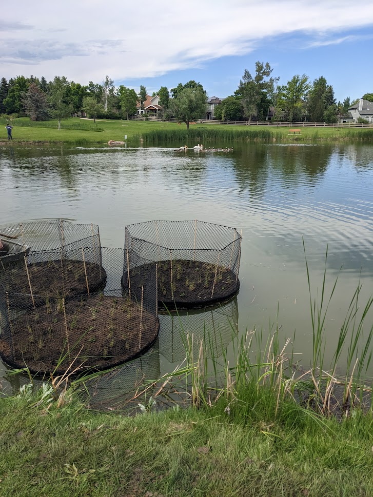 Large platforms holding plants for the floating island project