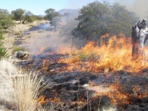 open space wildfire mitigation