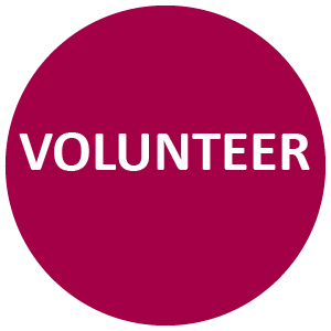 Find information about volunteer opportunities through the Town.