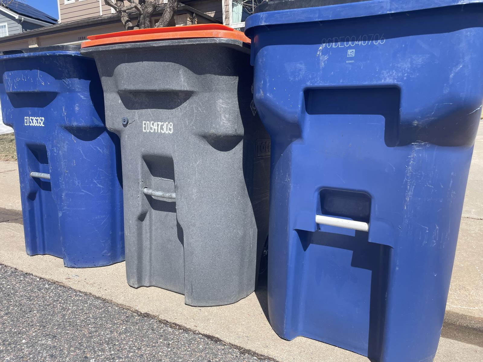 Three trash cans lined up on a curb.