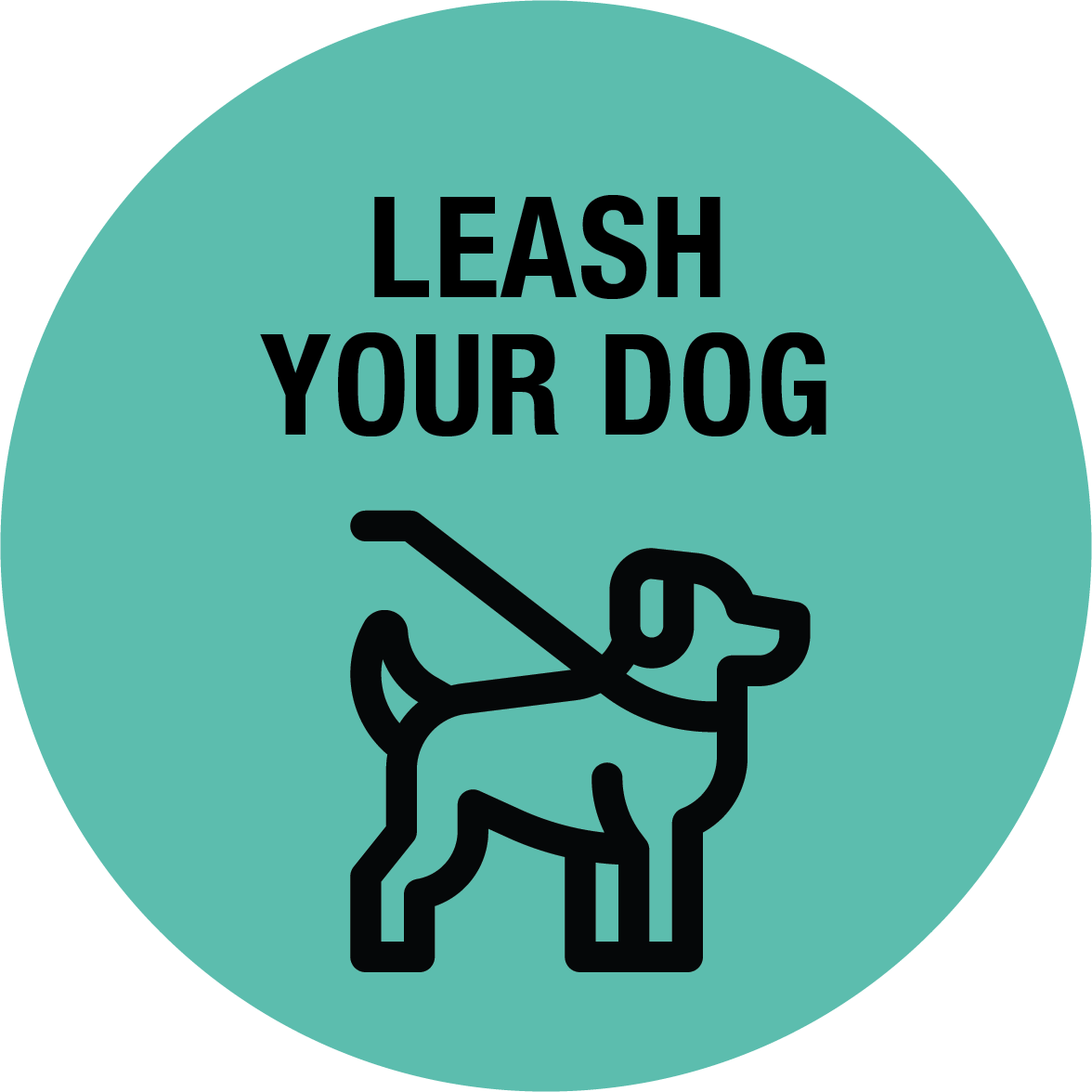 leash your dog icon 3