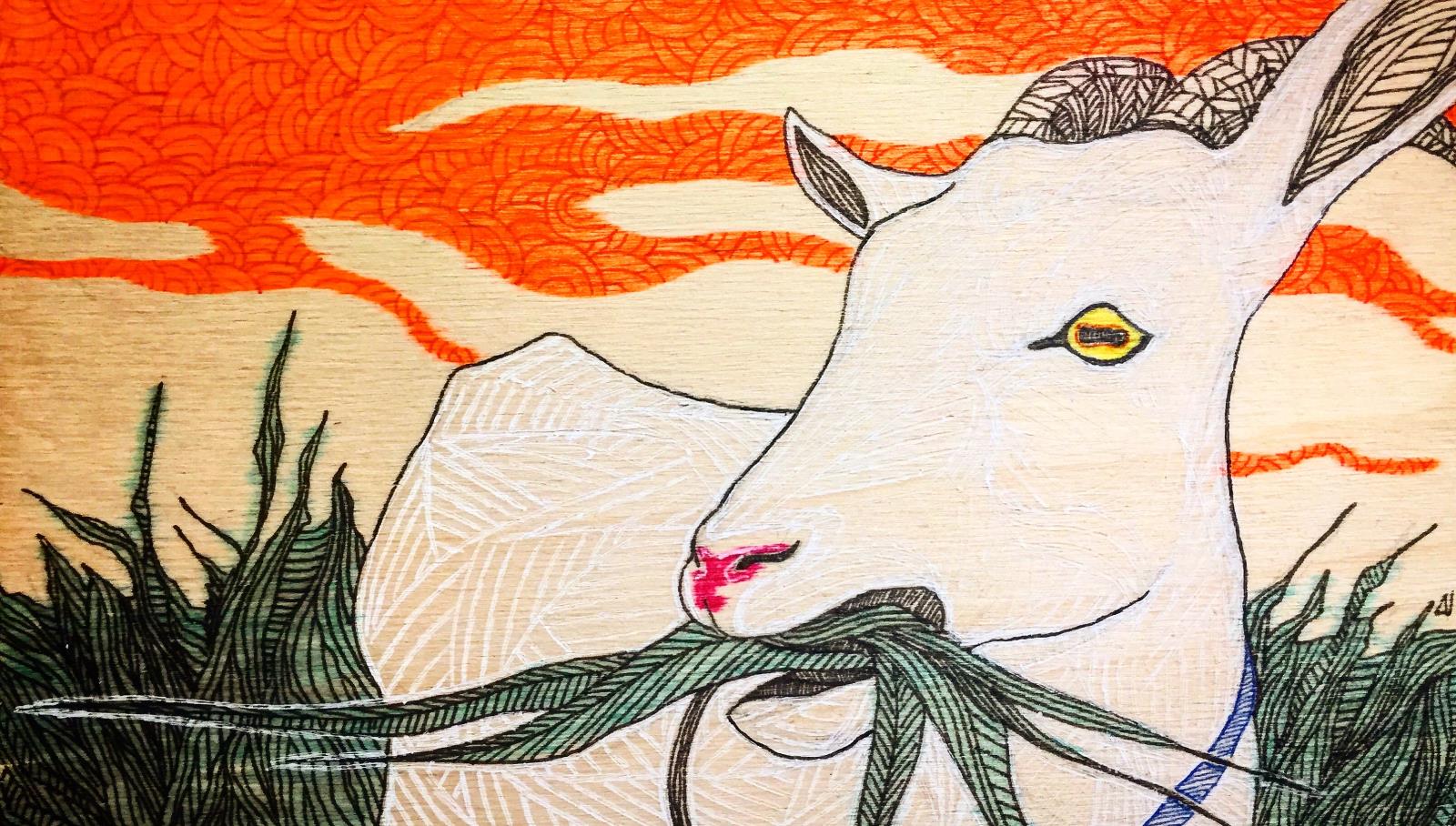 a simple color drawing of a white goat, from the shoulders & hindquarter up, eating a mouthful of grass. There is tall grass behind him and an orange and white sunset sky.