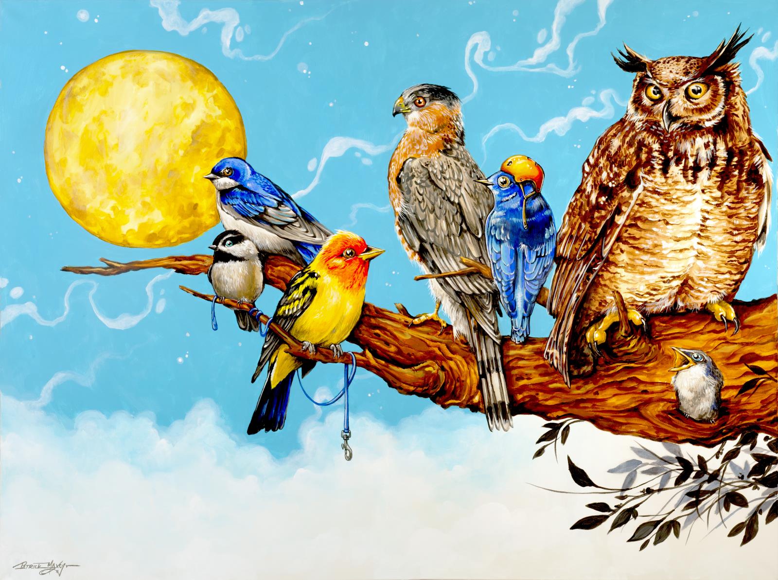 Preparatory artwork for a bus shelter as one large artwork of a tree branch with of a 5-7 unique local birds sitting together.