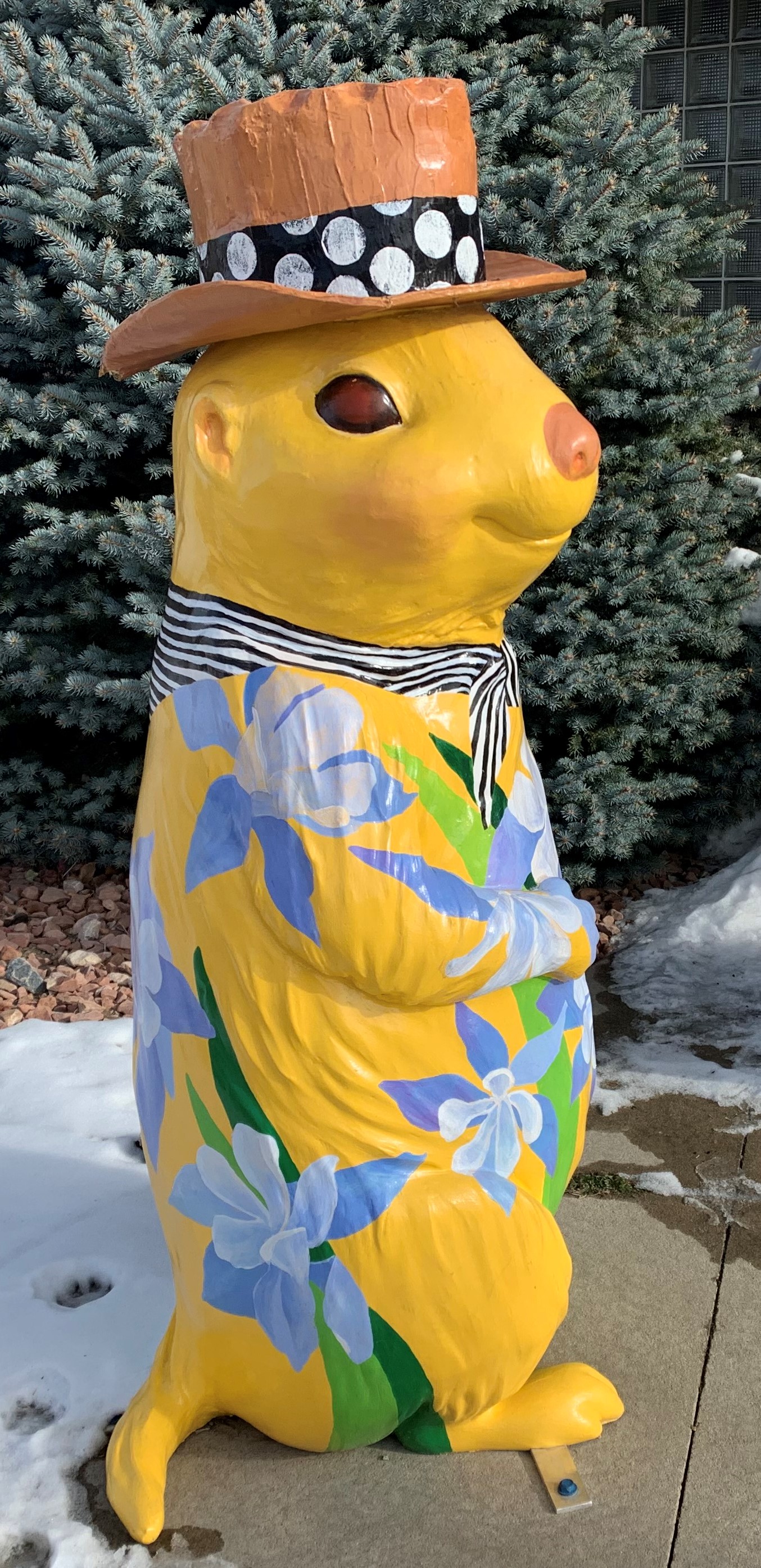 A four-foot tall 3-D fiberglass prairie dog statue painted yellow with large purple columbine flowers painted over most of the body. A painted black and white scarf is around the neck. A real paper mache cowboy hat is worn with a painted black and white polka dot pattern.